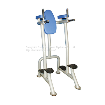 CM-235 Vertical Leg Raise/Dip Exercise Machines