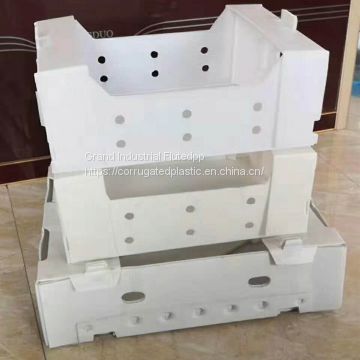 Plastic container box