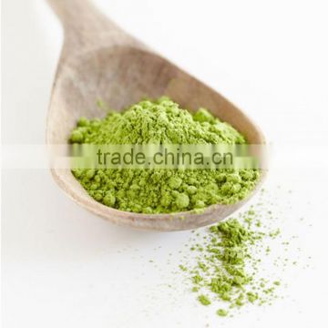 Best Quality Wheat Grass Powder At Your Door Steps