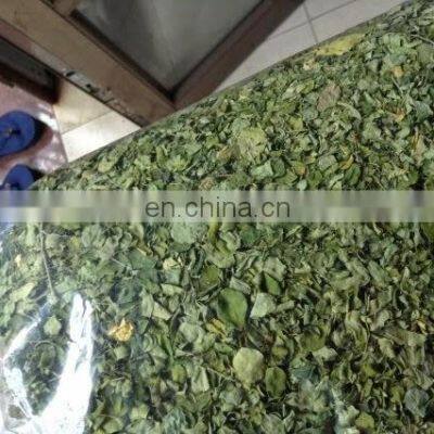 Dried Moringa Leaf From Vietnam photo-4