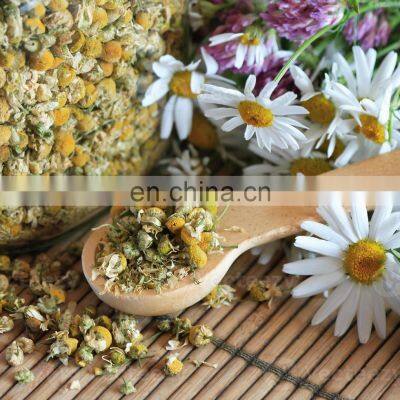 Vietnam Organic Dried Chrysanthemum Flower Tea/ High Quality Natural and Healthy Dried Daisy Flower Herbal Tea From Vietnam photo-3