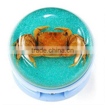 Souvenir Gifts Starfish Resin Paper Stapler Corporate Gift photo-2