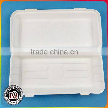 Bagasse Food Containers Pure Sugar Cane Products Quality Choice