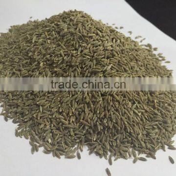 Cumin Seeds, Europe Quality 99.5 % Purity