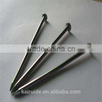 Fcotry15 Years High Quality Wood Nail Common Nail Iron Materials/common Iron Nail