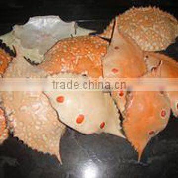 DRIED CRAB SHELL BEST QUALITY