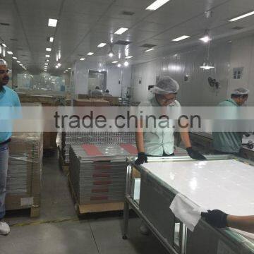 REOO Hot Selling Photovoltaic Solar Panel EVA Film and Backsheet TPT/PET