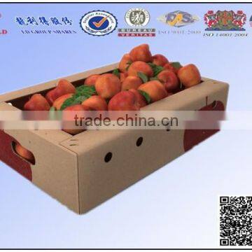 supply apple fruit packaging boxesfruit carton box