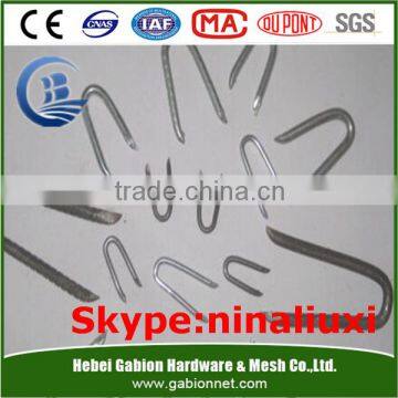 electric galvanized fence staples u type nails Q235