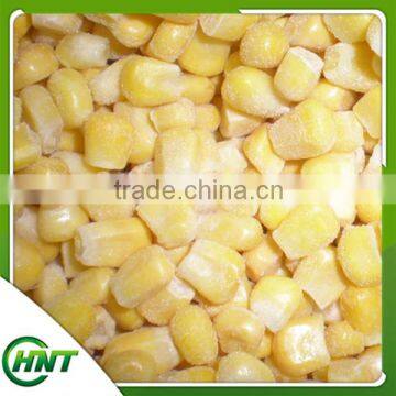 High Quality Iqf Corn Kernels