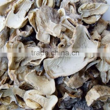 Polish Wild Dried Button Mushroom