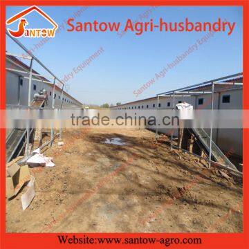Factory Design Full-auto Hot-dipped Farm Equipment for Broiler Chicken photo-3
