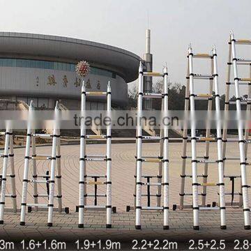 11 Steps Telescopic Ladder photo-2