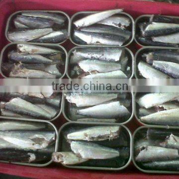 125g Canned Sardine in tomato sauce/oil/brine(WW-125) from factory price