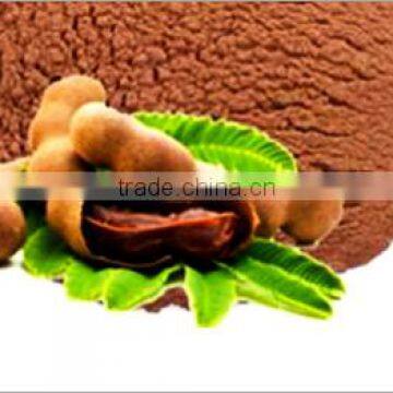 Spray Dried Tamarind Powder