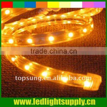 3528 5050SMD AC127V blue led strip lighting