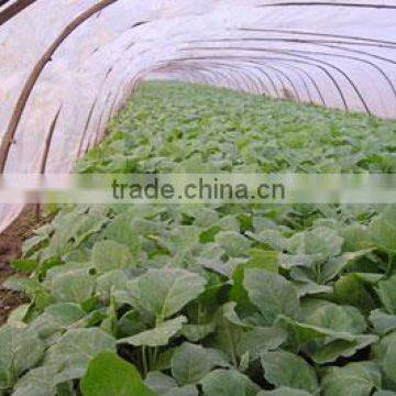 Agricultural Greenhouses Film photo-2