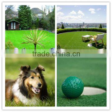 Certificated Turf Artificial Grass for Kids/Pets