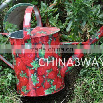 Powder Coat Metal Watering Can / Planter Watering Pot