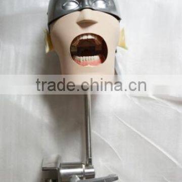 Phantom Head Manikin Simulation