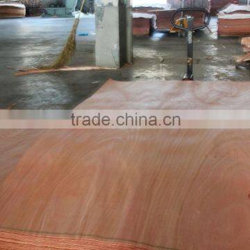 0.3 mm Okoume Wood Veneer Rotary Cut A Grade
