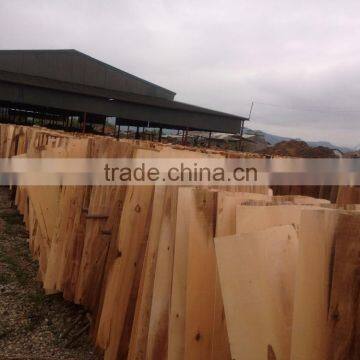Eucalyptus Core Veneer With High Quality in Viet Nam