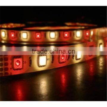 RGBW SMD5050 LED Light Strip