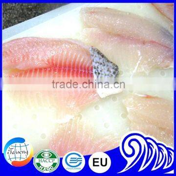 Bulk Tilapia Fillet With High Quality photo-4