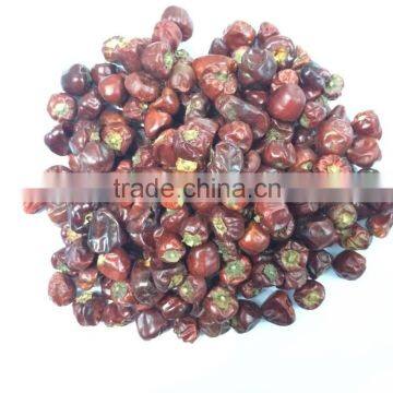 Dry Round Red Chilli From Tamilnadu photo-4