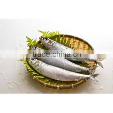 HGT sardines Philippines