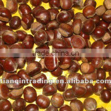 chinese fresh chestnut