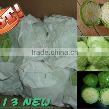 2013new fresh cabbage (round) From China