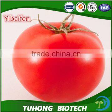 Chinese hybred early maturity seeds pink tomato seeds best quality for greenhouse