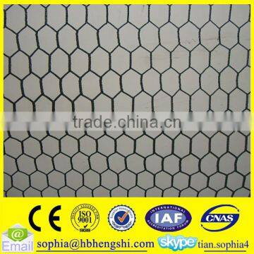 Chicken Wire Mesh (High Quality)