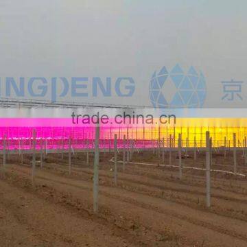 LED Grow Light With Hydroponic System Greenhouse photo-2