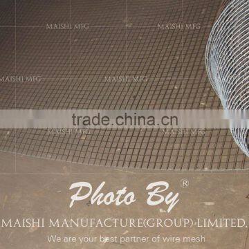 1/2'' Galvanized Welded Mesh photo-6