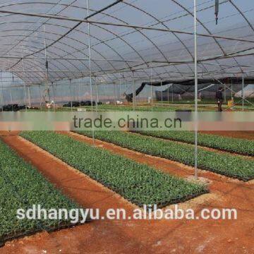 Agriculture Greenhouse Hydroponic System Plastic Sheet photo-5
