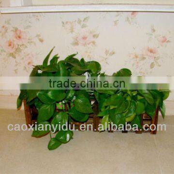 Windowsill Wooden Flower Planter wooden box for flowers