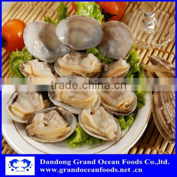 frozen boiled baby clam meat