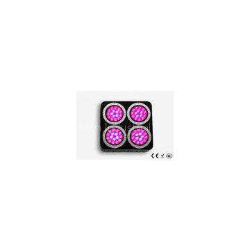 CE ROHS LED Growing Light , Hydroponic Flowering LED Grow Lights
