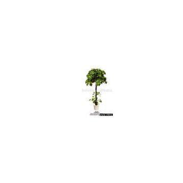 decorative tree
