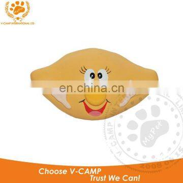 safety Security for pet