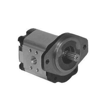 Pgp511a0210ck1h2nd5d4b1b1 Leather Machinery 270 / 285 / 300 Bar Parker Hydraulic Gear Pump