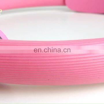 Top Quality Aerobic Gymnastic Training Circle Pilates Yoga Ring