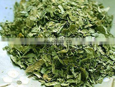 Natural Dried Moringa Leaf/Best Selling Vietnam Moringa Leaf Powder Natural Moringa Leave Made in Vietnam photo-3