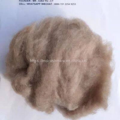 Dehiared Cashmere Fibre Mongolia Brown Cashmere 16.5mic 38mm