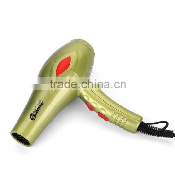 Ionic Professional Hair Dryer, 1200W to 2000W