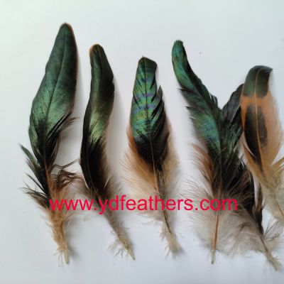 Half-Bronze Rooster/Coque/Cock Tail Feather from China