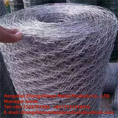 hexagonal wire mesh/chicken wire mesh/protecting wire mesh/PVC protective layer/ wire mesh