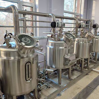 Système de brassage de bière de 100 L